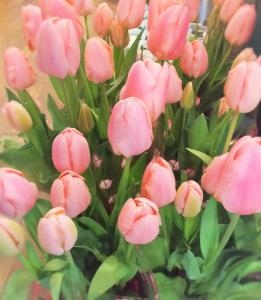 春ですね～♪｜「花ばたけのざわ　野沢生花店」　（愛知県岡崎市の花キューピット加盟店 花屋）のブログ